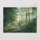 Search for hamburg cards Forest