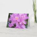 Search for rhododendrons cards Pink