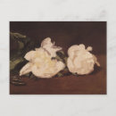 Search for 1864 postcards Manet