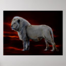 Search for lion and lioness posters Nature