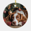 Search for brittany spaniel christmas tree decorations Pet