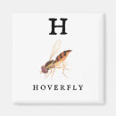 Search for pollinating magnets Insect