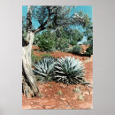 Search for deserted posters Trees