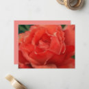 Search for rose note cards Pink