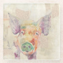 Search for pig coasters Animals