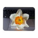 Search for keyboard magnets White