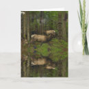 Search for protect earth cards Nature