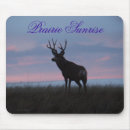 Search for mule deer electronics Outdoors