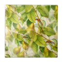 Search for pear tree tiles Pears