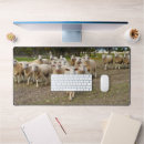 Search for sheep lamb mousepads Lambs