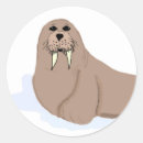 Search for walrus cartoon stickers Arctic