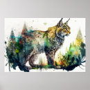 Search for lynx posters Forest
