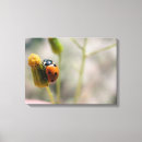 Search for stem canvas prints Horizontal