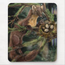 Search for pine trees electronics Animal