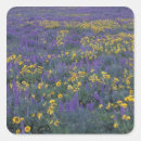 Search for lupine stickers Purple