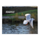 Search for seagull calendars Nature