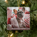 Search for puppys 1st christmas tree decorations Dog