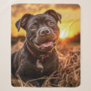 Search for staffordshire bull terrier blankets Pet