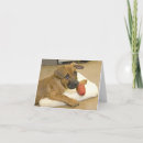 Search for mutt cards Breed