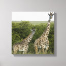 Search for kenya canvas prints Wildlife