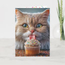 Search for lick cards Kitty
