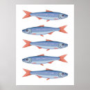 Search for sardines posters Pattern