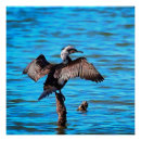 Search for winged art Wildlife