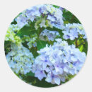 Search for green hydrangeas stickers Summer