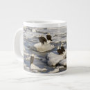 Search for bald mugs Alaska