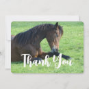 Search for pretty horse cards Equine