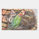 Search for budgie crafts party Cat