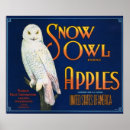 Search for vintage fruit crate labels posters Apples