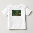 Search for shasta tshirts California