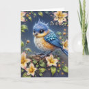 Search for bluebird cards Baby