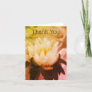 Search for lotus flowers cards Water lily