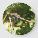 Search for beautiful dragonfly art Wings
