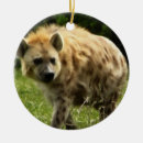 Search for laugh christmas tree decorations Animals