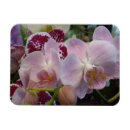 Search for florist magnets Pink