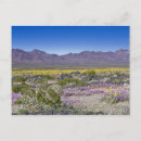 Search for public land postcards Scenic