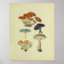 Search for 1841 posters Old