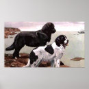 Search for newfoundlander posters Vintage