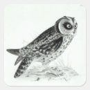 Search for owl drawing stickers Nature