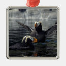 Search for tufts christmas tree decorations Wildlife