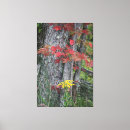 Search for grey and red canvas prints Colourful