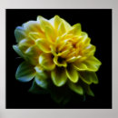 Search for spring birthday art Flowers
