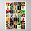 Search for veg art Colourful