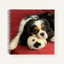 Search for cavalier king charles spaniel notebooks Puppy