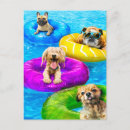 Search for pool party invitations Funny