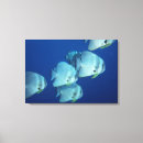 Search for underwater canvas prints Pattern