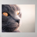 Search for tier posters Cat